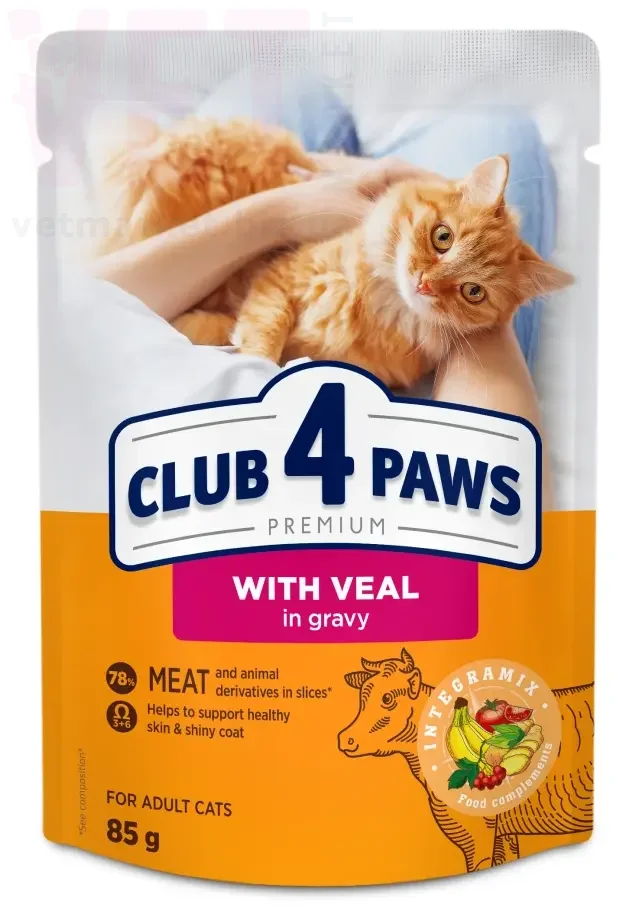 ���� 4 ���� ��� ����� � ��������� � �����, 85 �. ��� �����