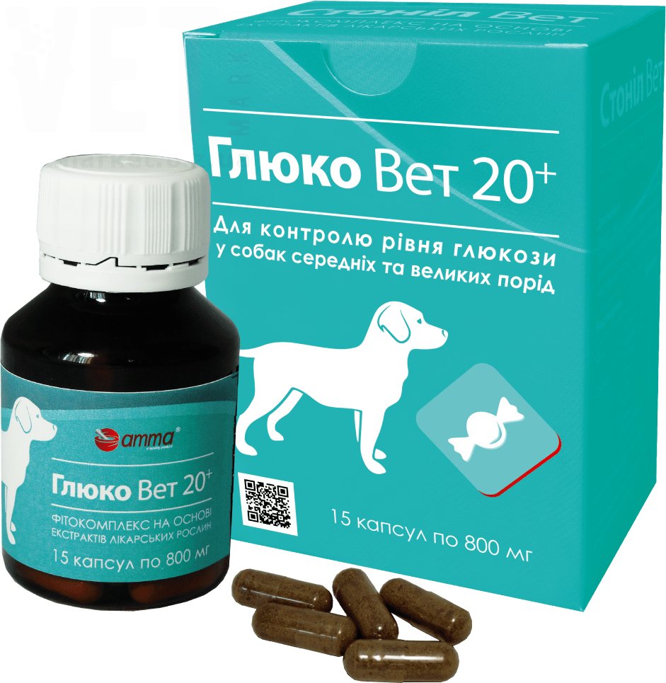 ����� ��� 20+, 15 ������, ���� ���� �������. Գ�����������, �������� ���������