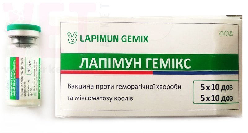 ������� ������, 10 ���, ����������. �������, ���������