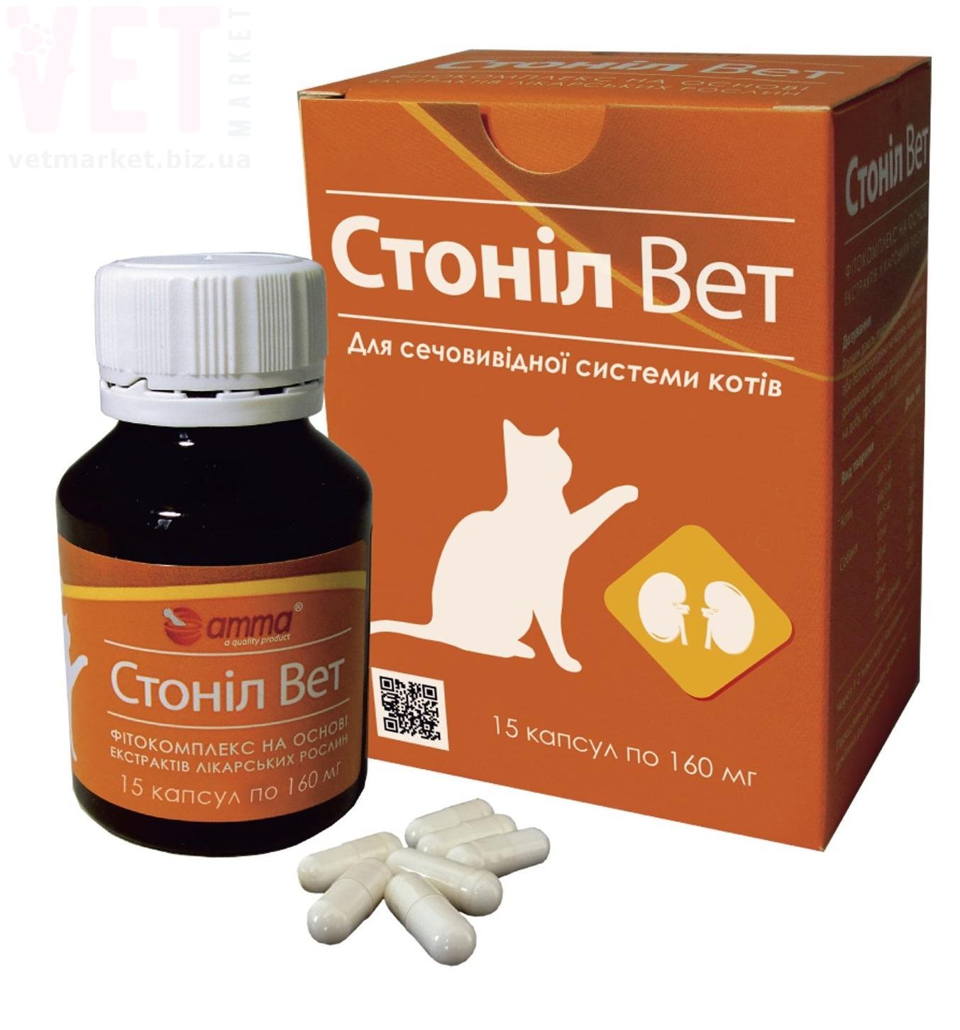 ������ ���, 15 ������, ���� ���� �������. Գ�����������, �������� ���������