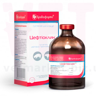 ����������, 100 ��, ����������. �����������