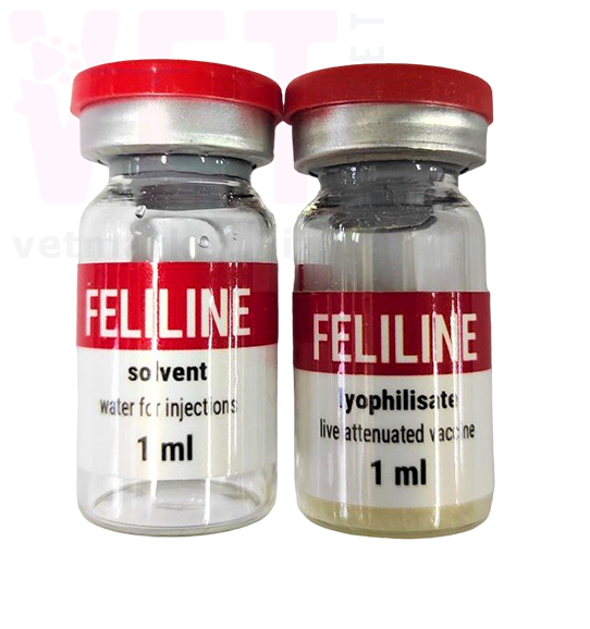 ��������, Vetline. �������, ���������