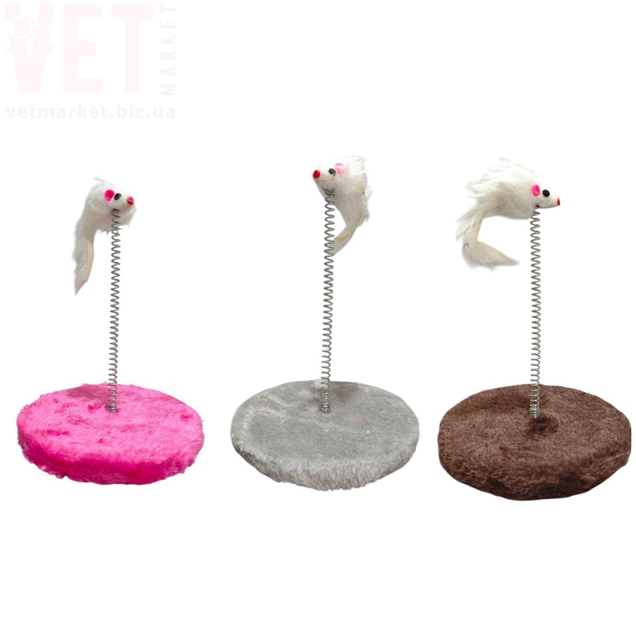 ������� 6-3 ����� �� ��������. ������� ��� �����