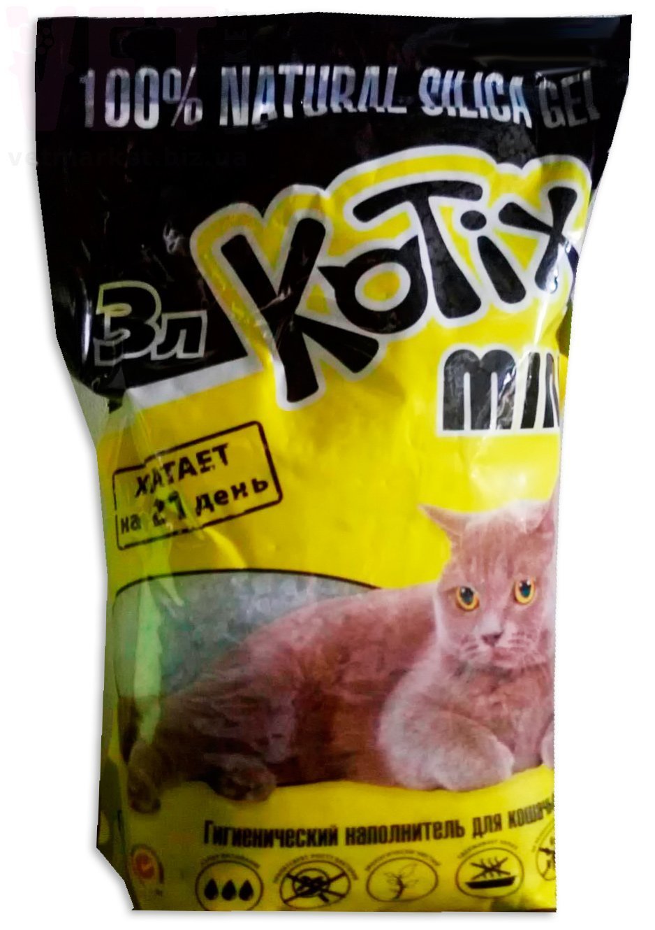 KOTIX ����������� �������������, 3 �. ����������