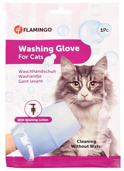 ��������-�������� ��� ����� ��� ���� �����, Flamingo. ���������