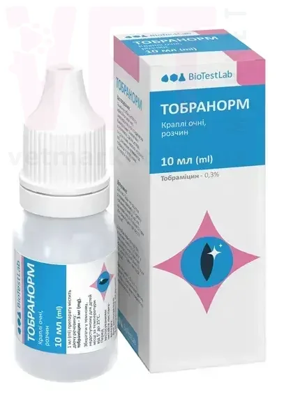 ��������� ����� �������, 10 ��, ����������. ������� �����, ����, �������