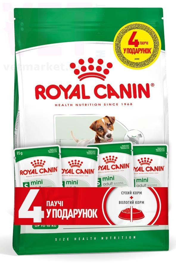 ���� ����� Mini Adult, 2 �� + 4 �����. Mini (4-10 ��)