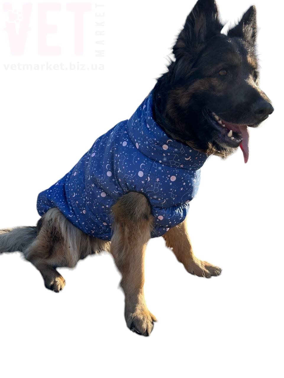  DIEGO sport 2/8  . /