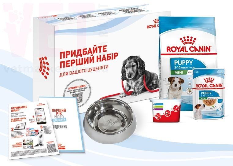 �����/���� ����� Mini Puppy ��������� �����. ����� / ����� � �����������