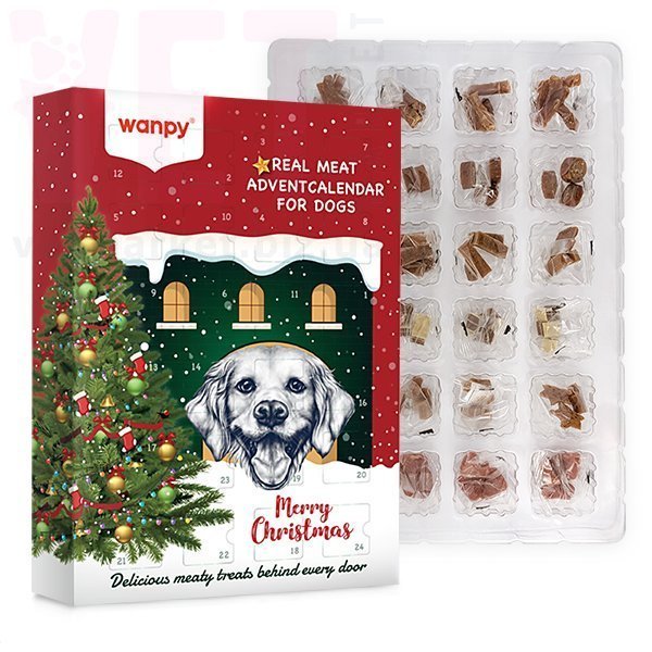 ������-��������� ��� ����� (6 ����� ��������), Wanpy. ��� �����