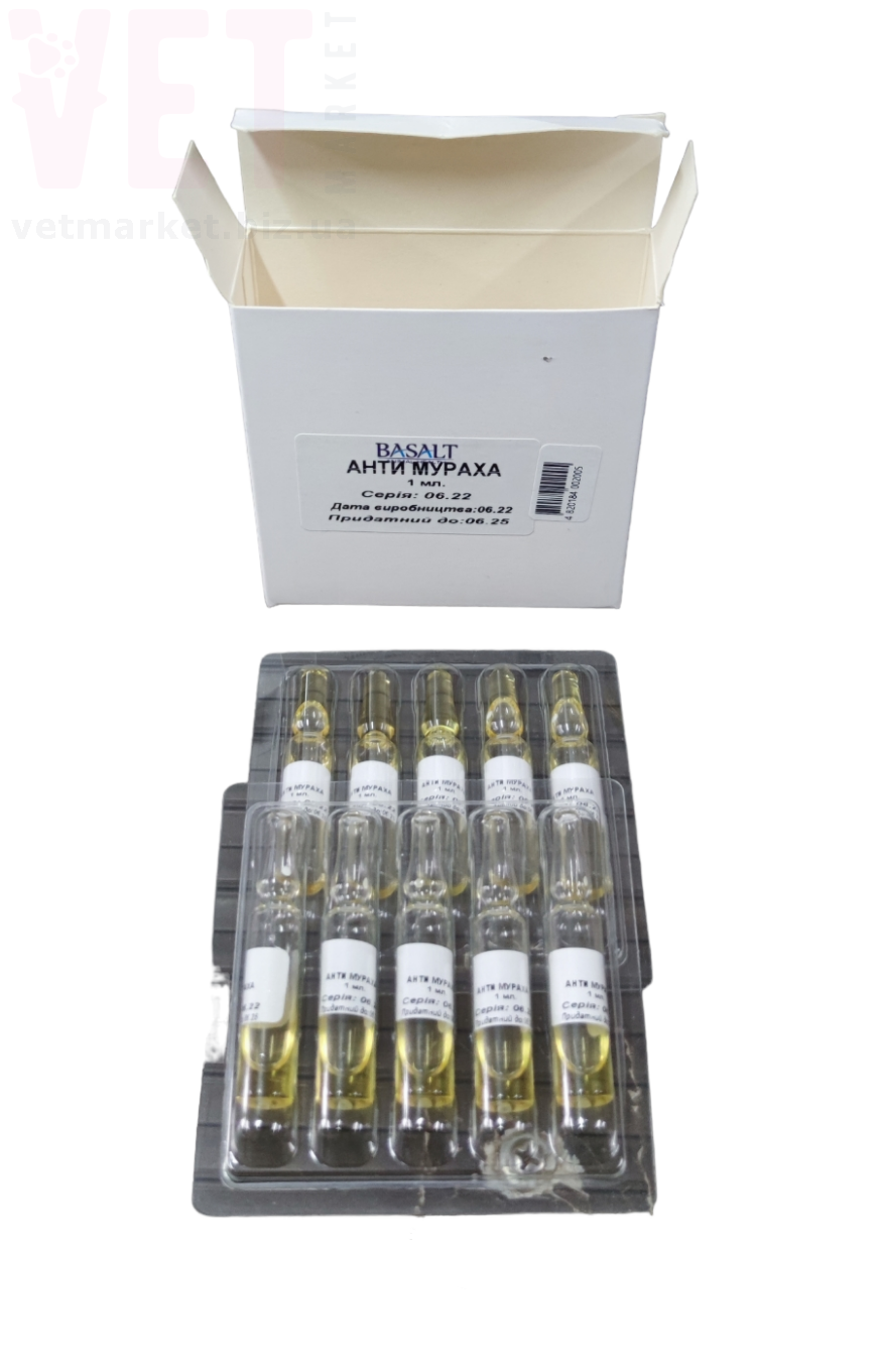 ���� �������, 1 �� �5, �������. ������ ������� �� ����� �� ��������