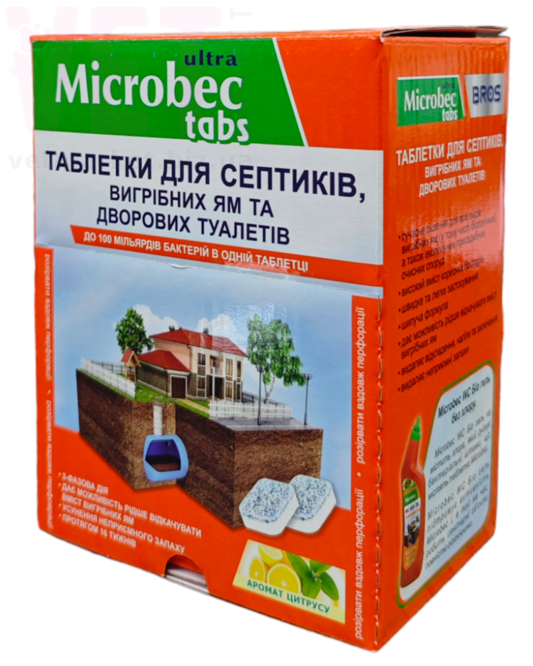 ���� �������� ������ ��������, 20 �. ����������� ������