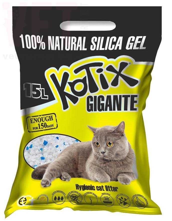 ������ ����������� �������������, 15 �. ����������