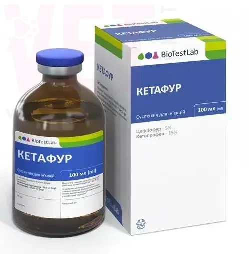 �������, 100 ��, ����������. �����������