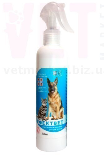 �����/���������, 250 ��, ���������. ����� / ����� � �����������