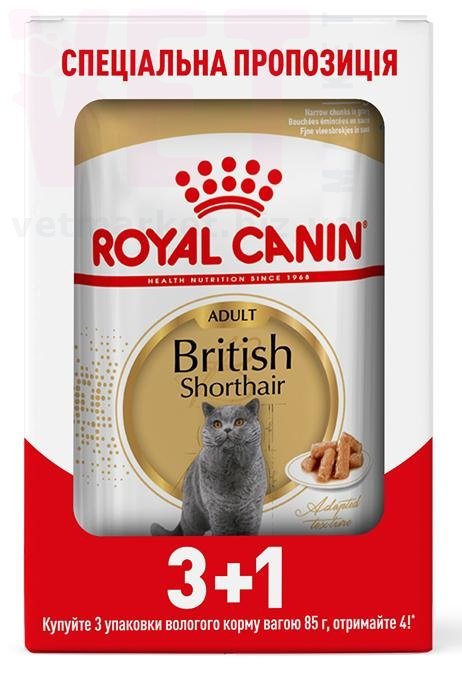 ���� ����� British Shorthair Adult Gravy 3+1. Feline Health Nutrition Wet - ������� �������