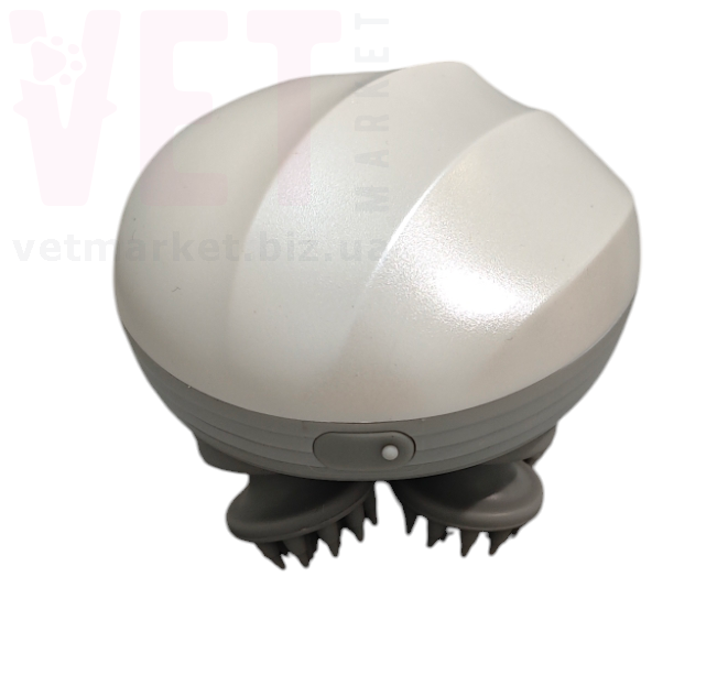 ����-�������� ��� ������. ���� ���������