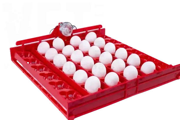 ����� ��������������� ���������� ��� ���������� �� 36 (144) ��� ��� ������. ���������� �� ������������ �� ����������