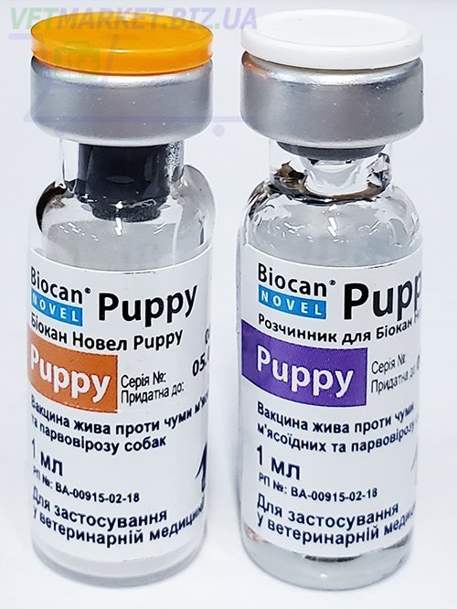 Схема вакцинации собак БИОКАН.