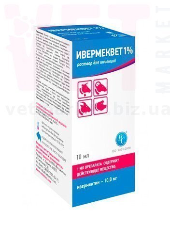 �����/����������, 10 ��, ���������. ����� / ����� � �����������