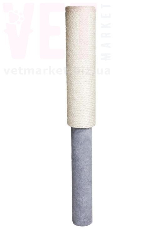 ���������� ���� �����. ������