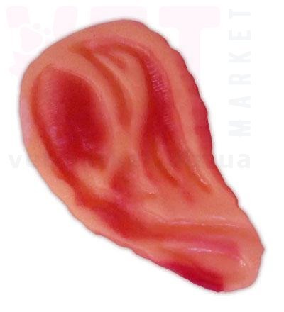 ������� ��������� �������� 19-29. ����� �������