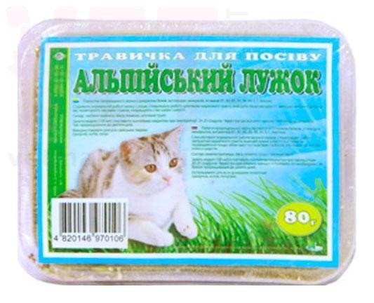 ������ ��� ����� ���������� ����� (�����.��.), 80 �, �����. ��� ����