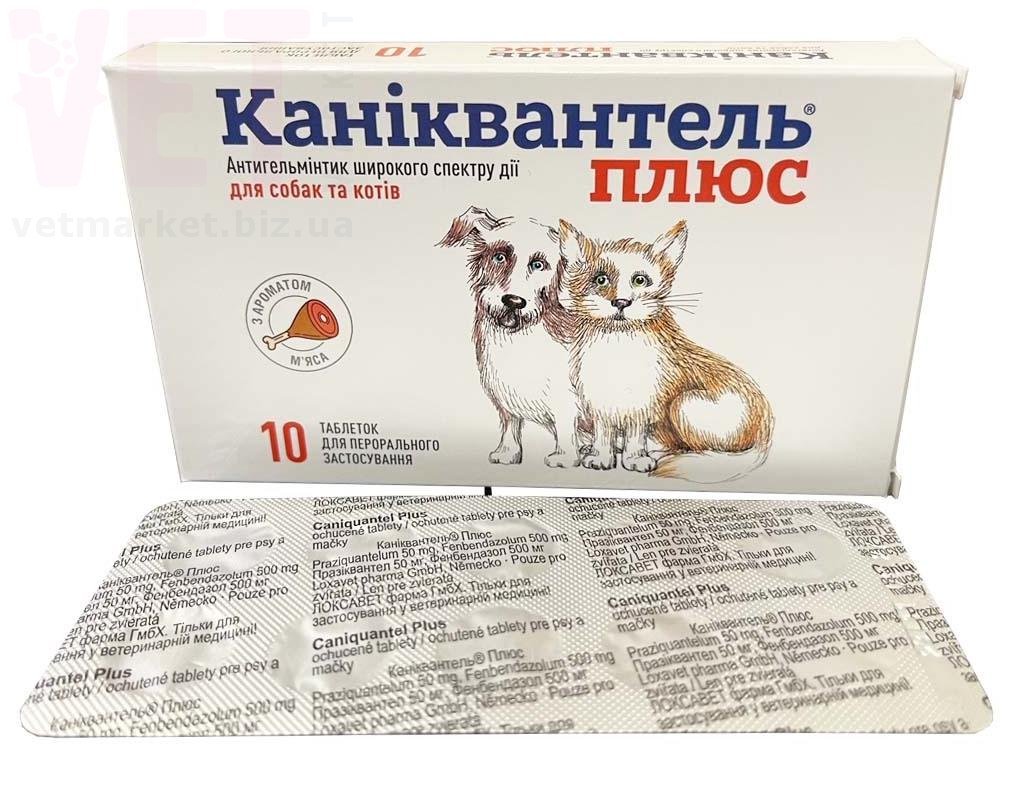 ������������ ����, 10 ����., Haupt Pharma. ��� �����