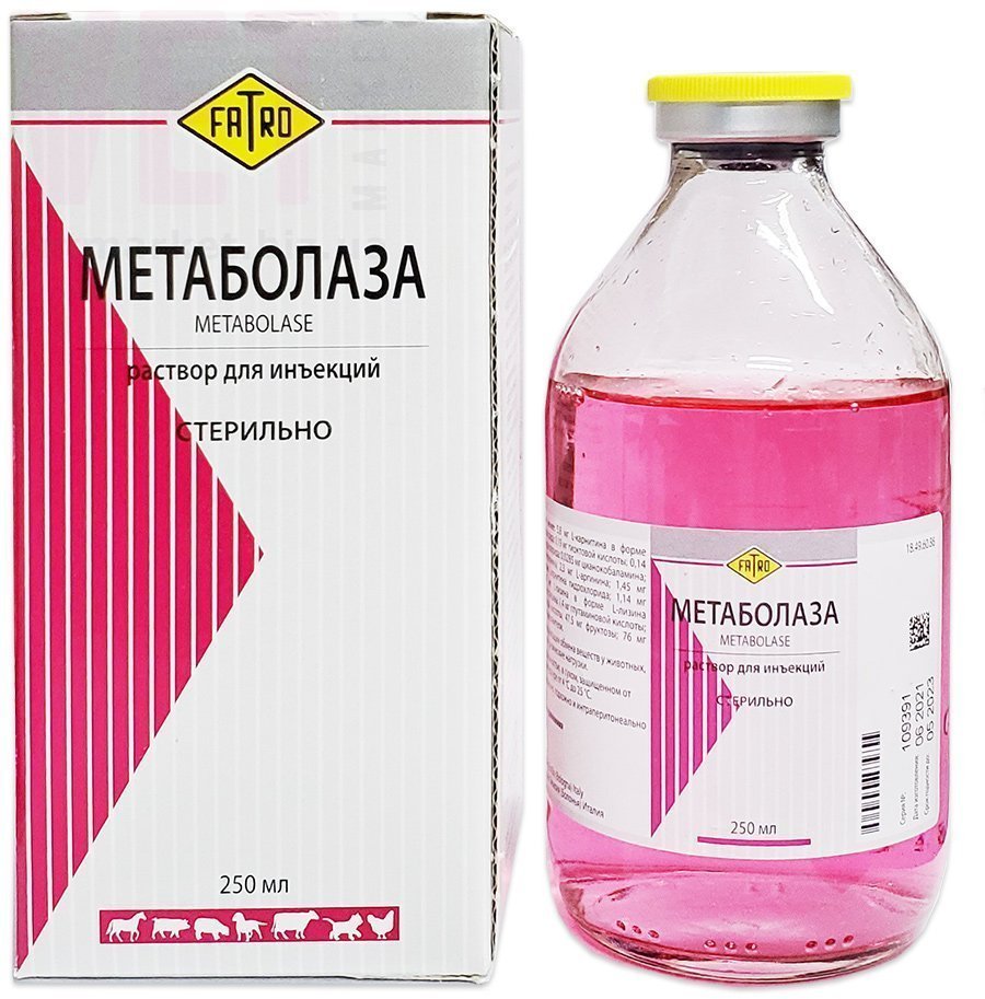 �����/����������, 250 ��, ����� (������). ����� / ����� � �����������