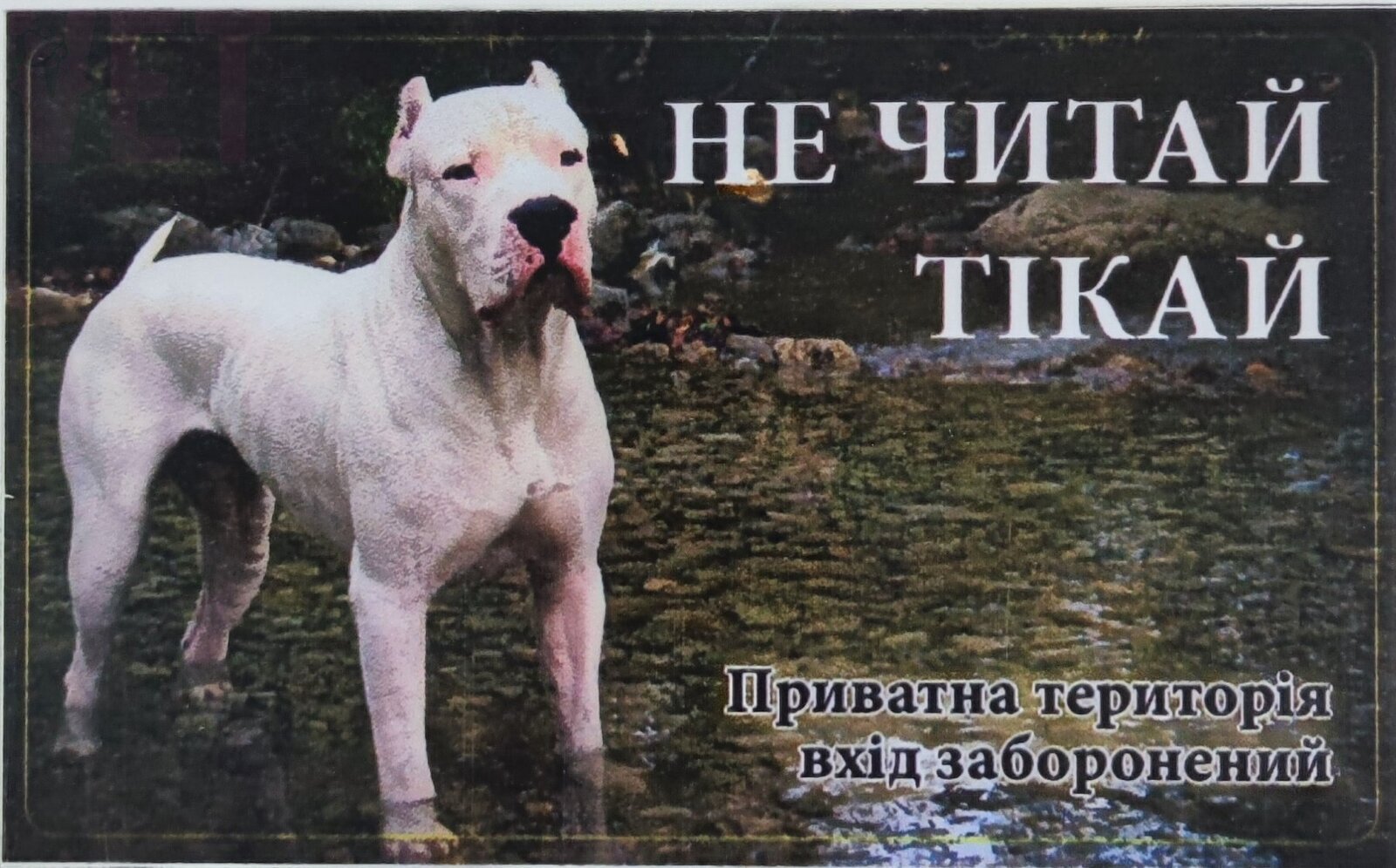 �����/�� �����!!! �i��� (�i�����). ����� / ����� � �����������