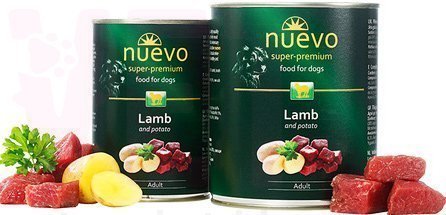 Nuevo Adult       , 400 .  