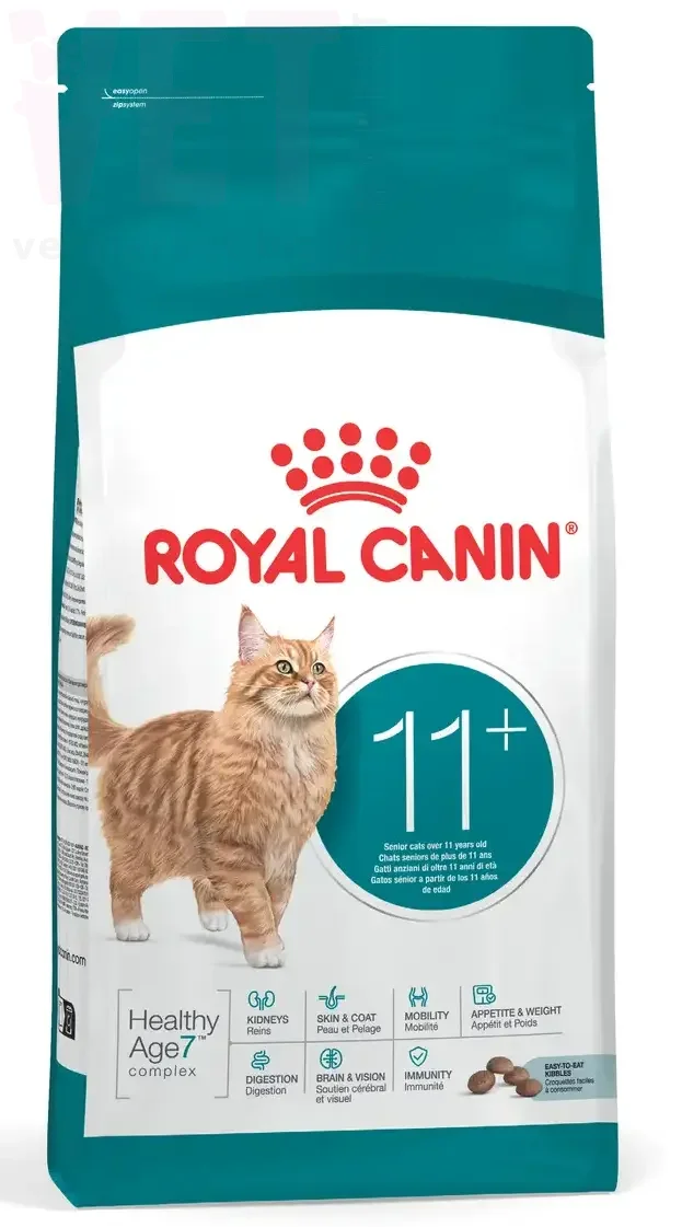 ���� ����� Ageing 11+, 2 ��. INDOOR