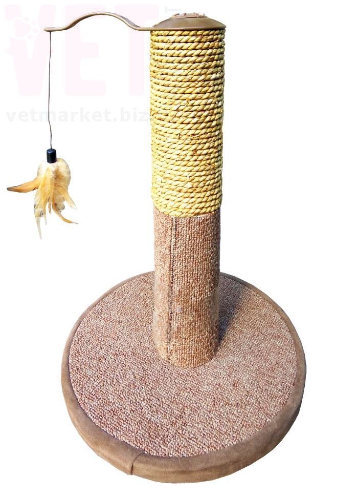 �����/����������-������� �� ������� ��������� 2-3. ����� / ����� � �����������