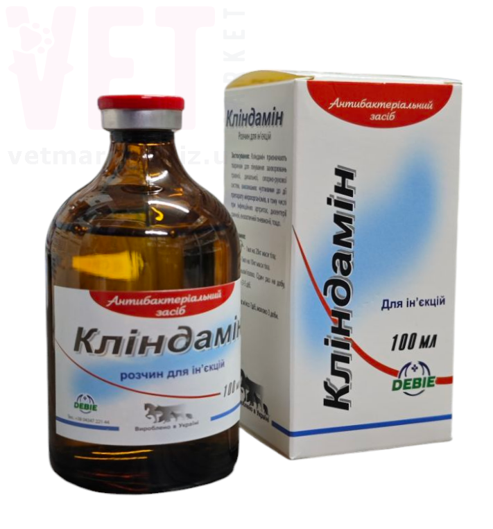 ���������, 100 ��, �����. �����������