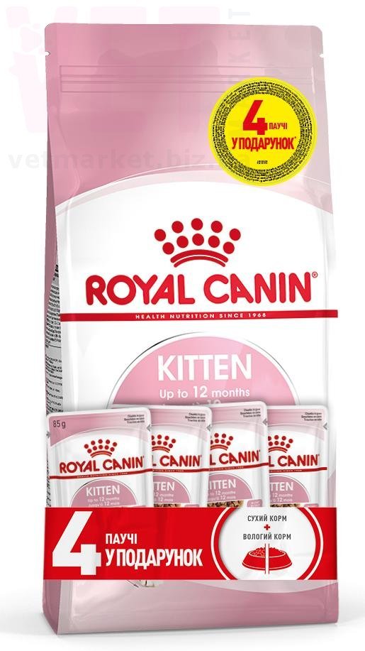 ���� ����� Kitten, 2 �� + 4 �����. GROWTH