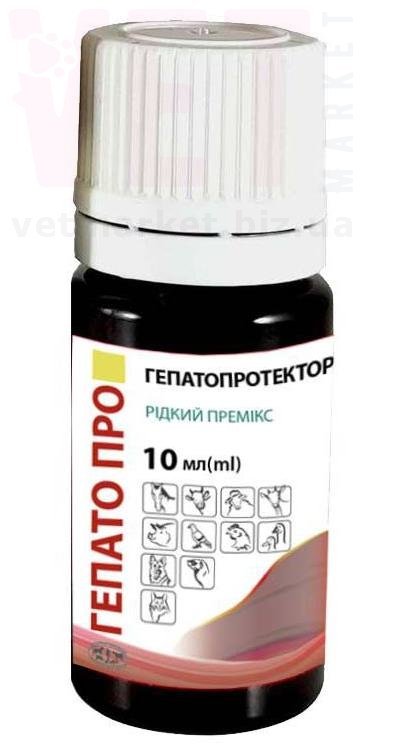 ������ ���, 10 ��, ����������. ��� ����