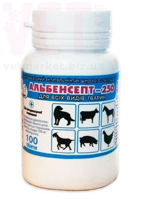 �����/���������� 250 ��, 100 ����., ����. ����� / ����� � �����������