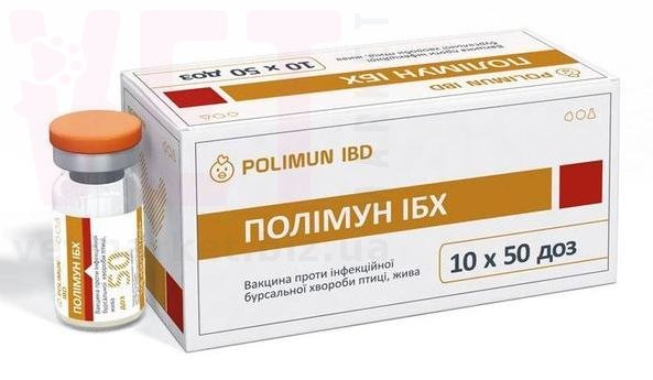 ������� ��� ������� (������� �������), 50 ���, ����������. �������, ���������