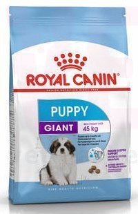 ���� ����� Giant Puppy, 1 ��. Giant (> 45 ��)