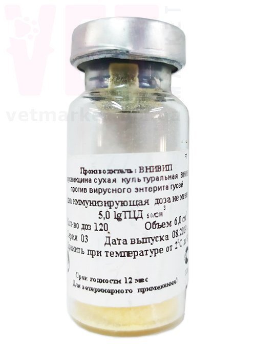 �����/������������ ����� ������������� ������ ��������� �������� �����, 120 ���, ������. ����� / ����� � �����������