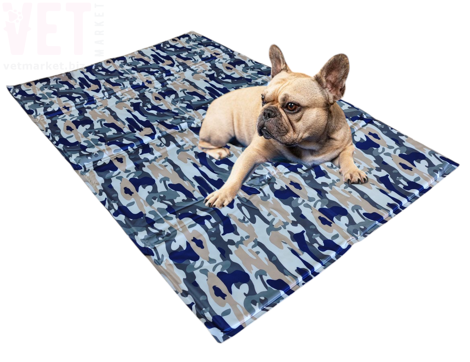 ����������� ������ ���� �����. ����������� �������