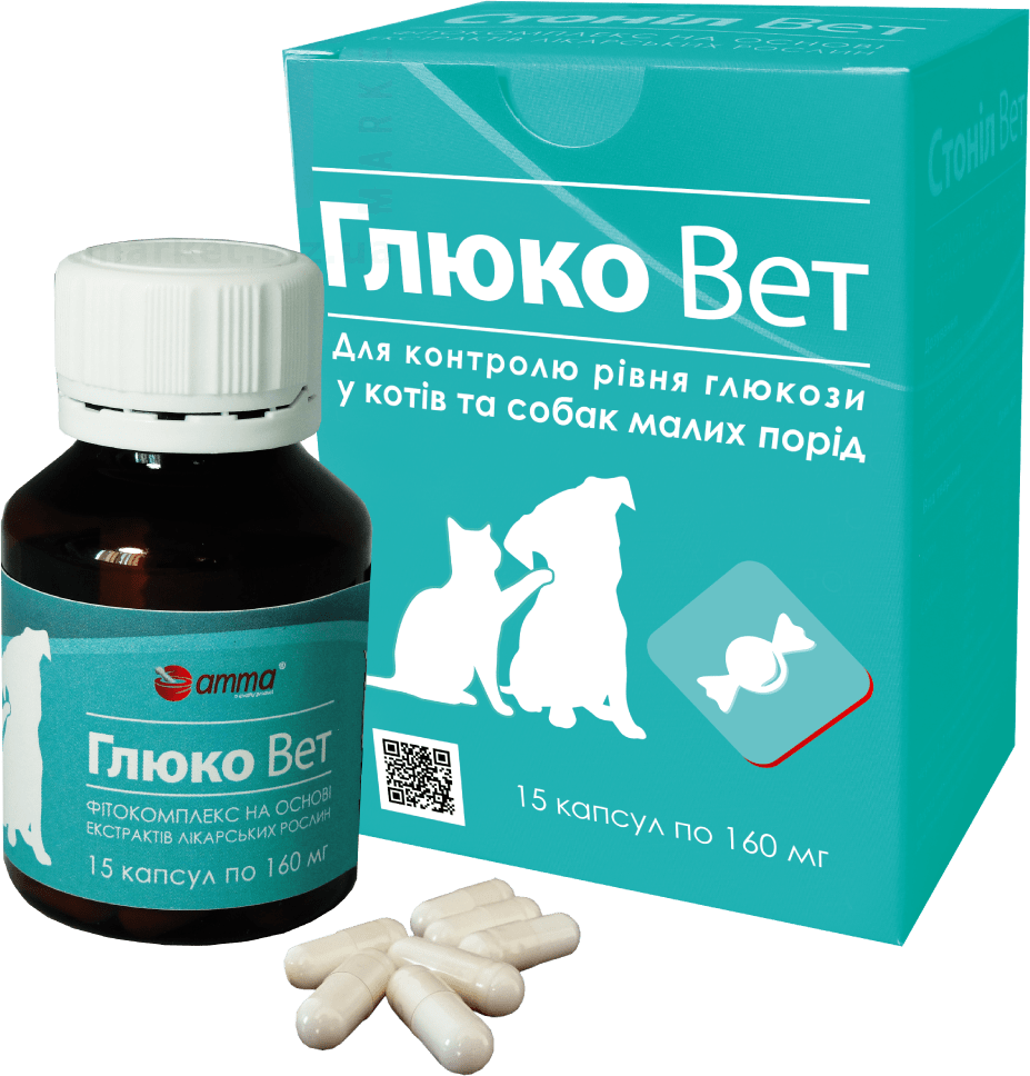 ����� ��� 20, 15 ������, ���� ���� �������. Գ�����������, �������� ���������