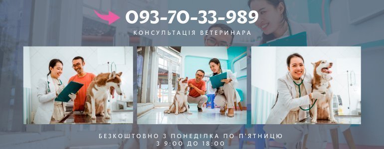 ��������� ������������ ���������� 0937033989 �����������, � �������� �� �'������ � 9 �� 18.00