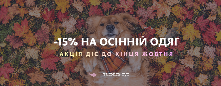 -15% �� ������ ���� ������� 2026