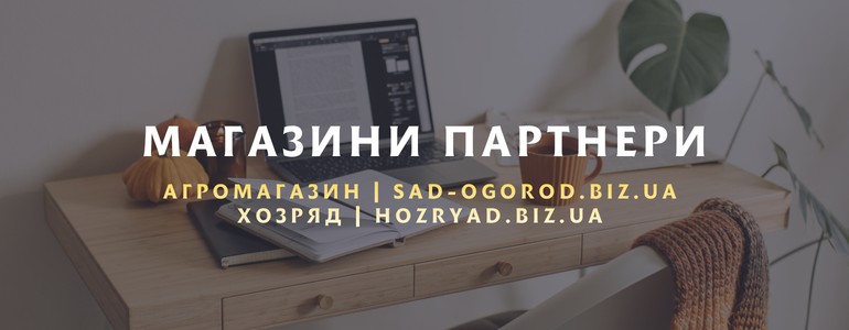 ��������-��������