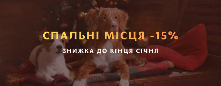 ������� ���� �� ���� ���� 2026