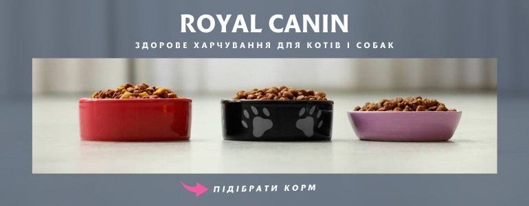 Royal Canin - �������� ������� ��� ����� � �����