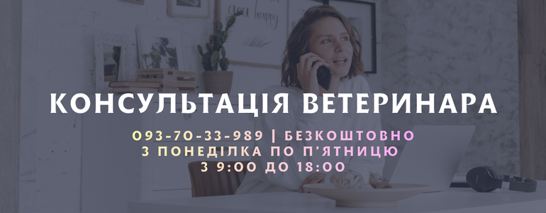 ��������� ������������ ���������� 0937033989 �����������, � �������� �� �'������ � 9 �� 18.00