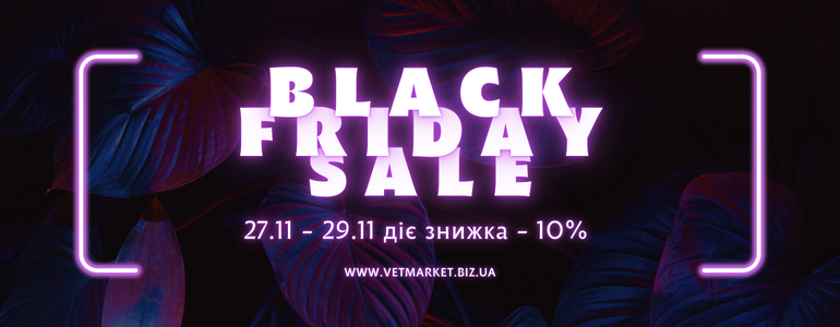 Black Friday Sale