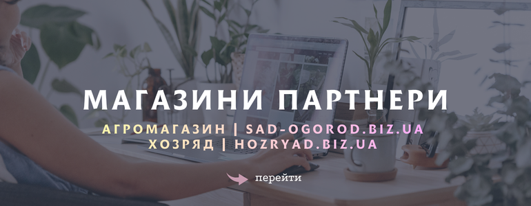 ��������-��������